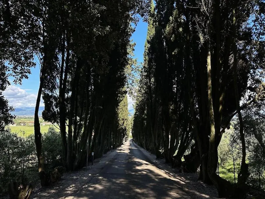 Lejlighed Appartamento In Villa Del XV Secolo Seano